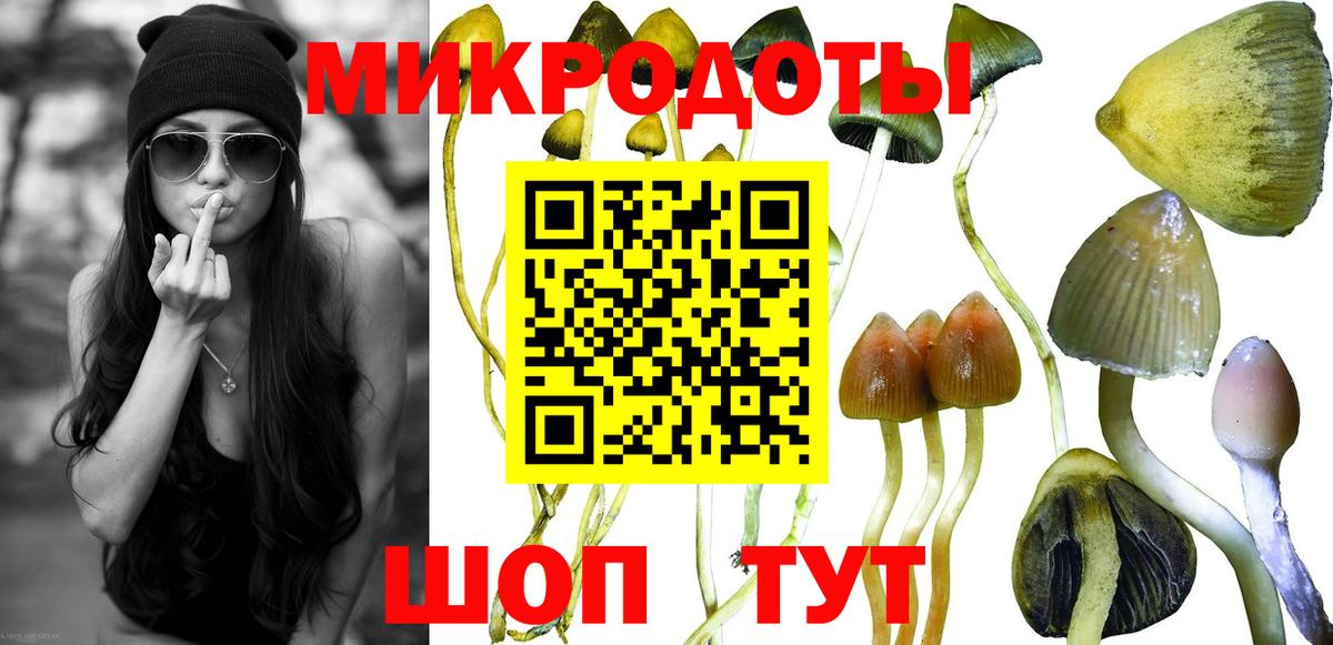 Псилоцибиновые грибы MAGIC MUSHROOMS Луховицы