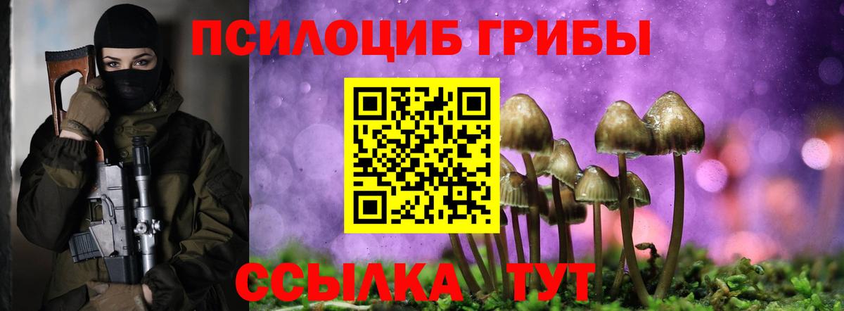 Луховицы  Галлюциногенные грибы Psilocybine cubensis  Вход с VPN 